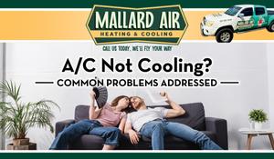 News headline image