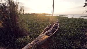 News headline image